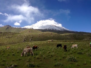 2014-ararat-elbrus-68-2