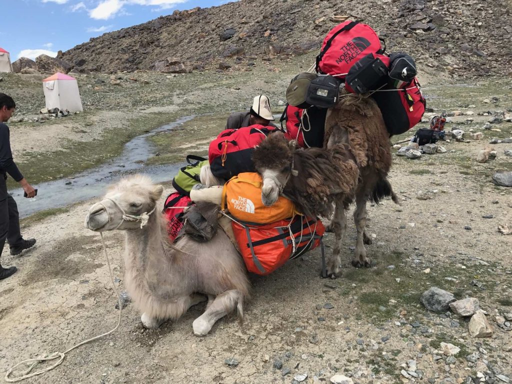 Восхождение на Музтаг-Ата с Mountain Guide - фотография 12
